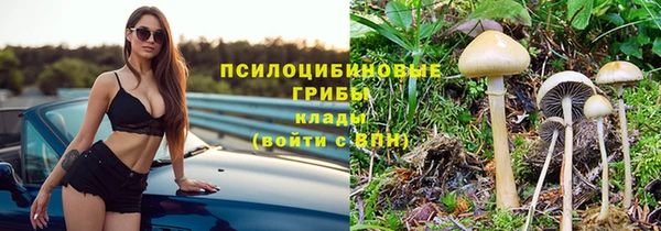 2c-b Михайловка