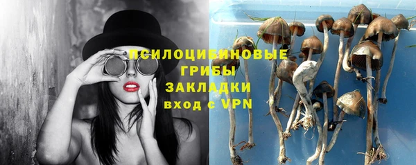 2c-b Михайловка